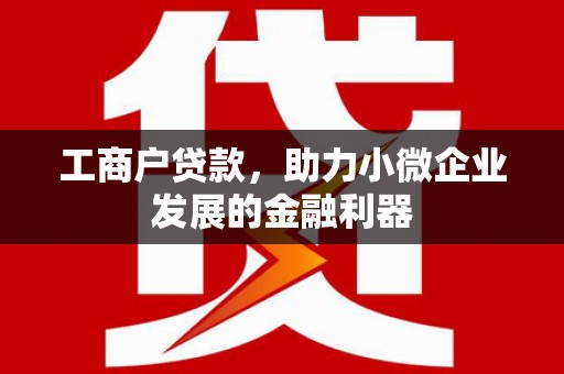 阳山工商户贷款，助力小微企业发展的金融利器