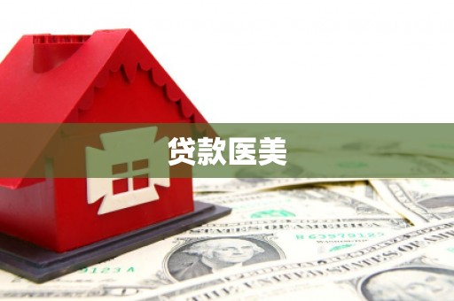 阳山贷款医美