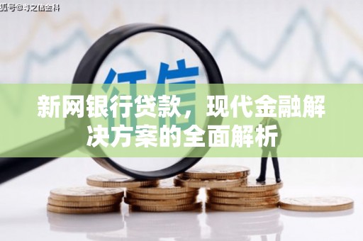 阳山新网银行贷款，现代金融解决方案的全面解析