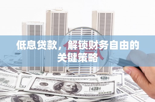 阳山低息贷款，解锁财务自由的关键策略