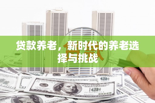 阳山贷款养老，新时代的养老选择与挑战