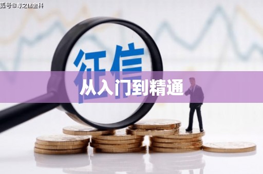 阳山从入门到精通