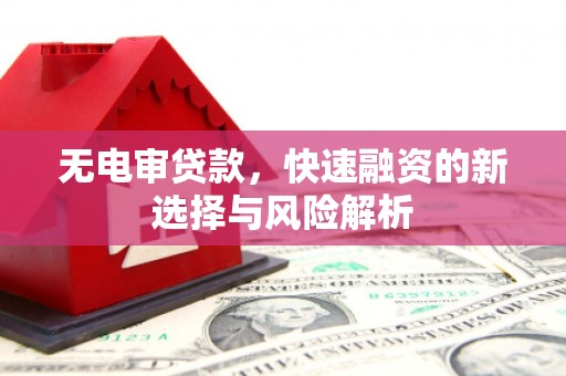 阳山无电审贷款，快速融资的新选择与风险解析