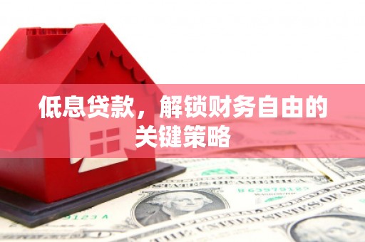 阳山低息贷款，解锁财务自由的关键策略