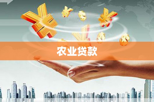 阳山农业贷款