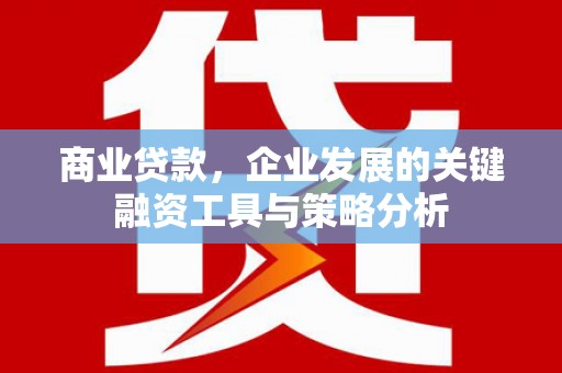 阳山商业贷款，企业发展的关键融资工具与策略分析