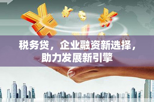 阳山税务贷，企业融资新选择，助力发展新引擎