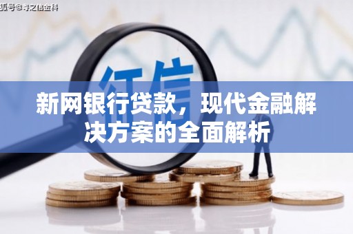 阳山新网银行贷款，现代金融解决方案的全面解析