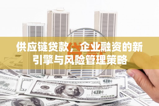 阳山供应链贷款，企业融资的新引擎与风险管理策略