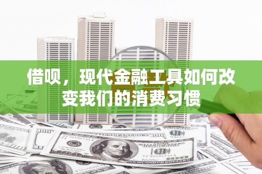 阳山借呗，现代金融工具如何改变我们的消费习惯