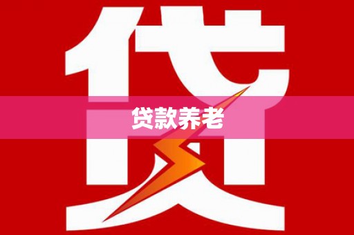 阳山贷款养老