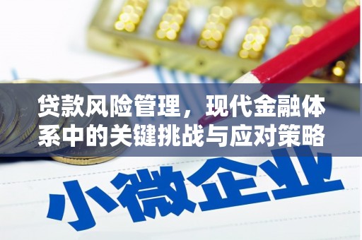 阳山贷款风险管理，现代金融体系中的关键挑战与应对策略