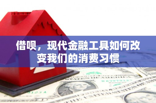 阳山借呗，现代金融工具如何改变我们的消费习惯