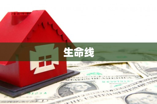 阳山生命线