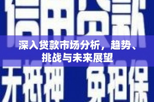 阳山深入贷款市场分析，趋势、挑战与未来展望
