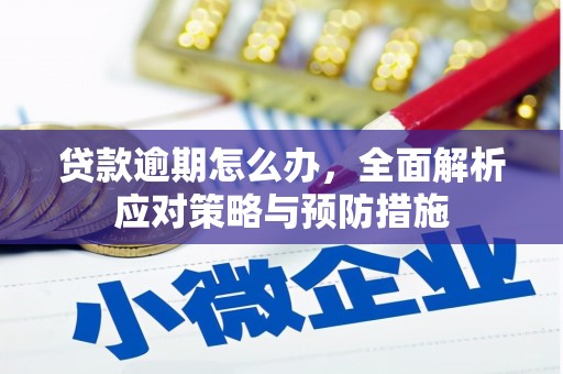 阳山贷款逾期怎么办，全面解析应对策略与预防措施