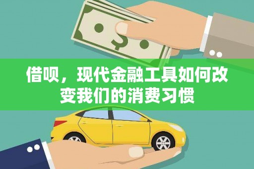阳山借呗，现代金融工具如何改变我们的消费习惯