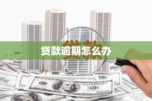 阳山贷款逾期怎么办