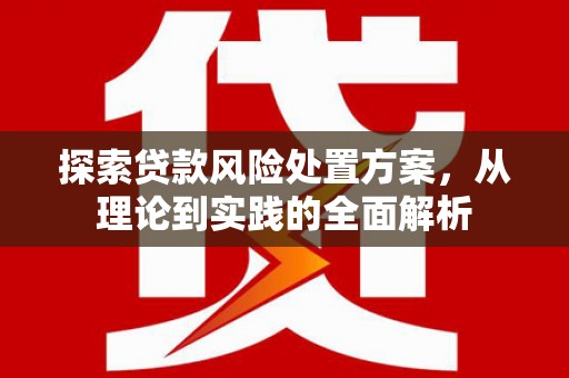 阳山探索贷款风险处置方案，从理论到实践的全面解析