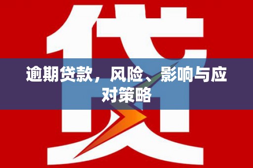 阳山逾期贷款，风险、影响与应对策略