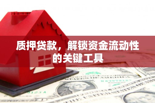 阳山质押贷款，解锁资金流动性的关键工具