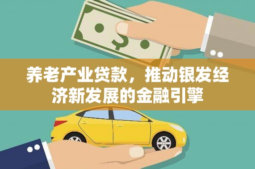 阳山养老产业贷款，推动银发经济新发展的金融引擎