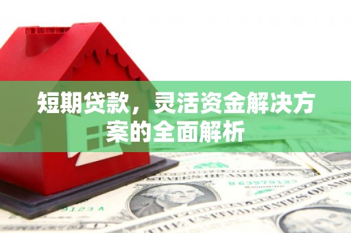 阳山短期贷款，灵活资金解决方案的全面解析