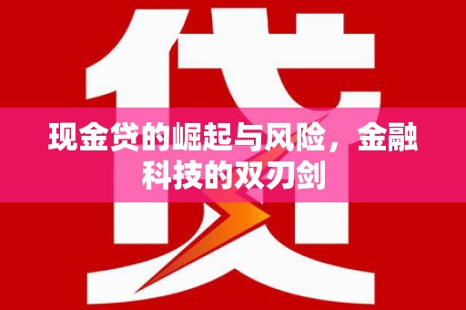 阳山现金贷的崛起与风险，金融科技的双刃剑