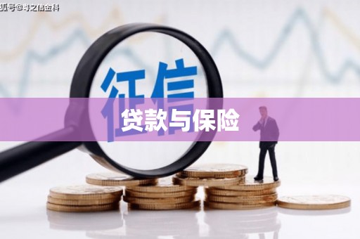 阳山贷款与保险