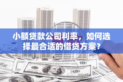 阳山小额贷款公司利率，如何选择最合适的借贷方案？