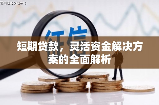 阳山短期贷款，灵活资金解决方案的全面解析
