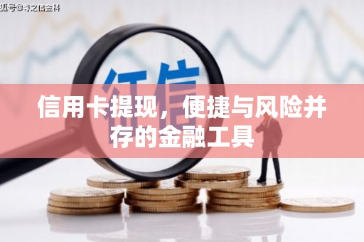 阳山信用卡提现，便捷与风险并存的金融工具