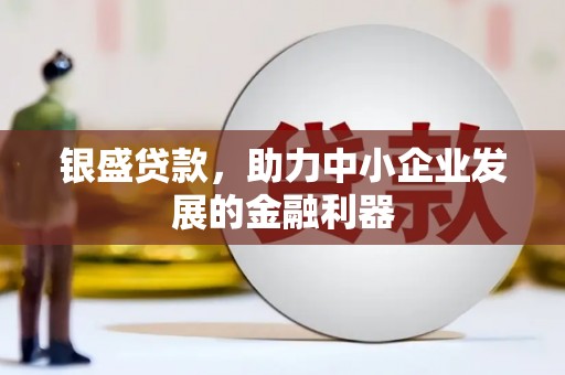 阳山银盛贷款，助力中小企业发展的金融利器