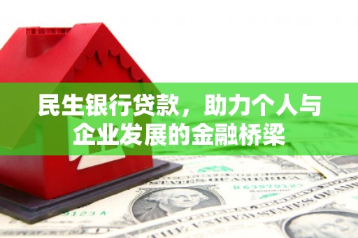 阳山民生银行贷款，助力个人与企业发展的金融桥梁