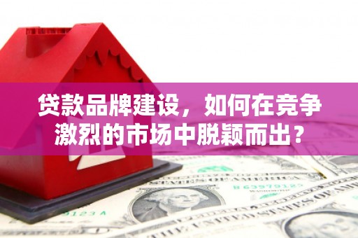 阳山贷款品牌建设，如何在竞争激烈的市场中脱颖而出？