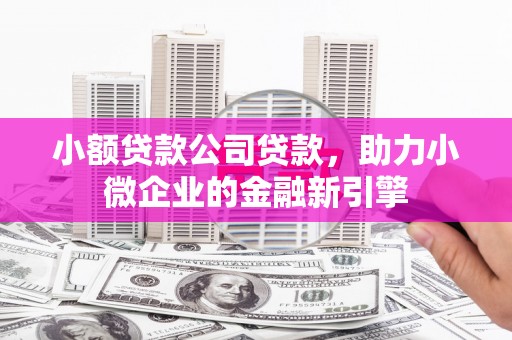 阳山小额贷款公司贷款，助力小微企业的金融新引擎