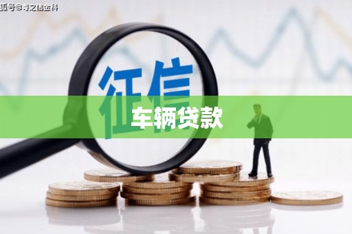 阳山车辆贷款