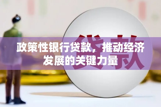 阳山政策性银行贷款，推动经济发展的关键力量