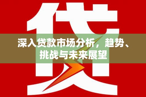 阳山深入贷款市场分析，趋势、挑战与未来展望