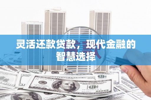 阳山灵活还款贷款，现代金融的智慧选择