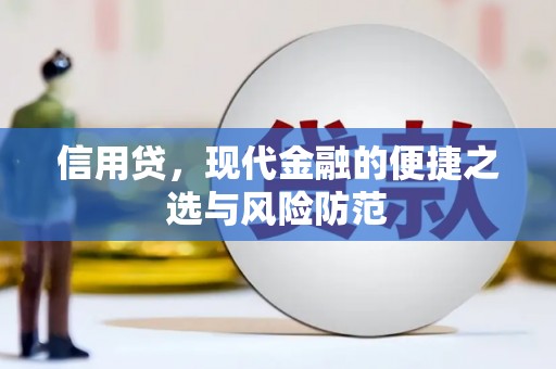 阳山信用贷，现代金融的便捷之选与风险防范