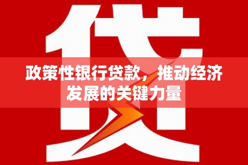 阳山政策性银行贷款，推动经济发展的关键力量