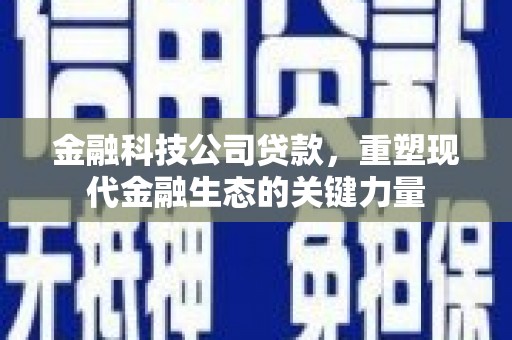 阳山金融科技公司贷款，重塑现代金融生态的关键力量