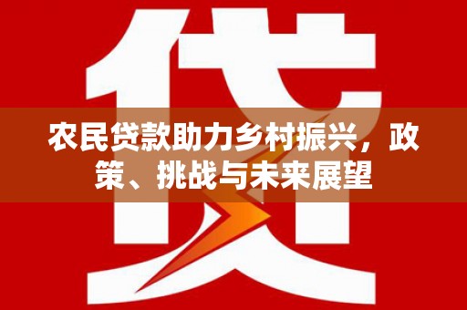 阳山农民贷款助力乡村振兴，政策、挑战与未来展望