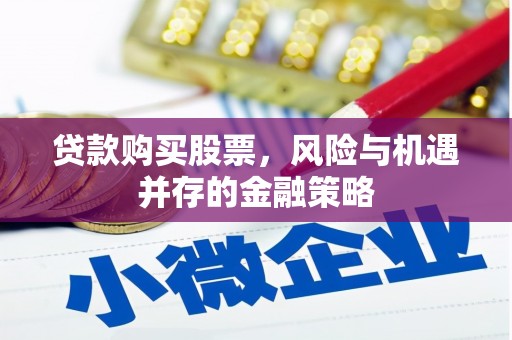 阳山贷款购买股票，风险与机遇并存的金融策略