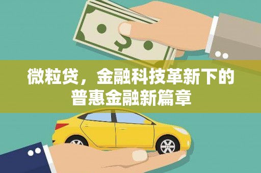 阳山微粒贷，金融科技革新下的普惠金融新篇章