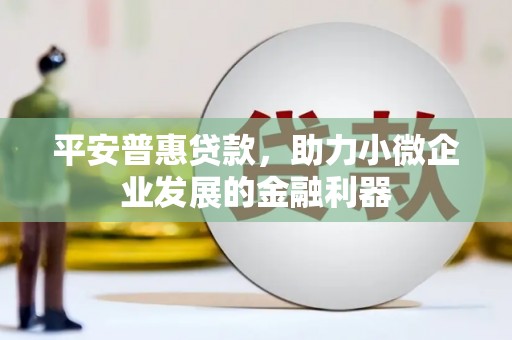 阳山平安普惠贷款，助力小微企业发展的金融利器