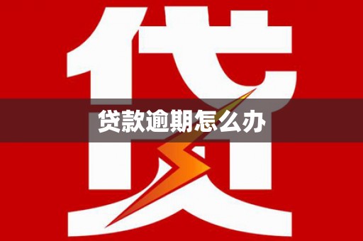 阳山贷款逾期怎么办