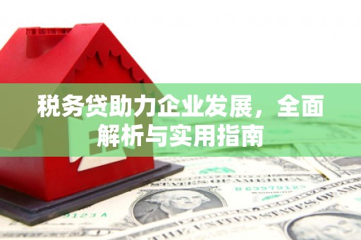 阳山税务贷助力企业发展，全面解析与实用指南