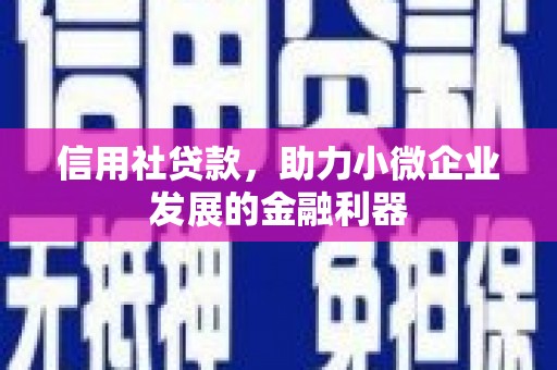阳山信用社贷款，助力小微企业发展的金融利器